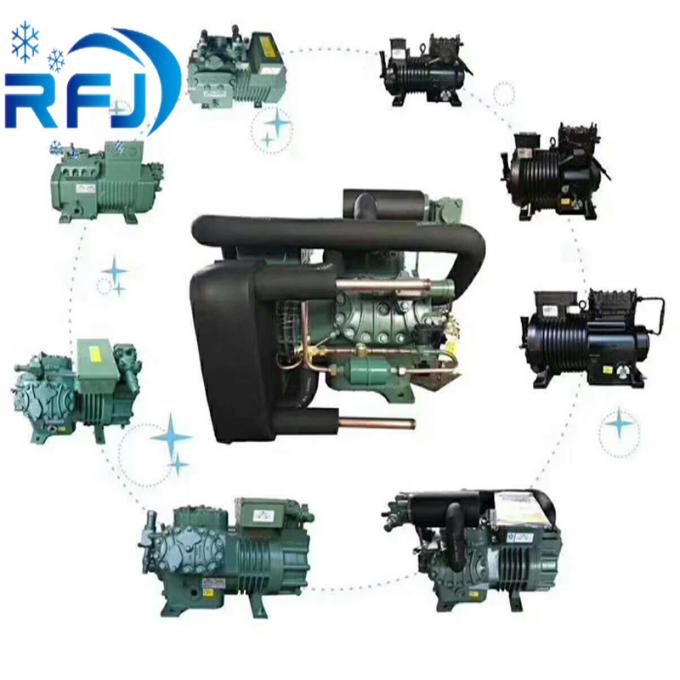 Семи герметичный цилиндр 2ФЭС-2И ХП 1 компрессора поршеня 2 Бицер для холодной комнаты 2