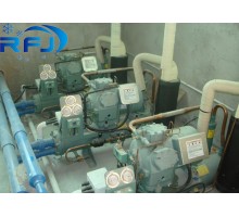 Компрессор 06DA537 R404A 15HP Carlyle Semi герметичный для охладителя несущей