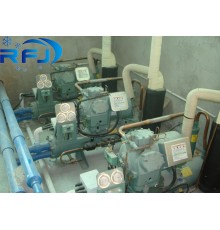 Компрессор 06DA537 R404A 15HP Carlyle Semi герметичный для охладителя несущей